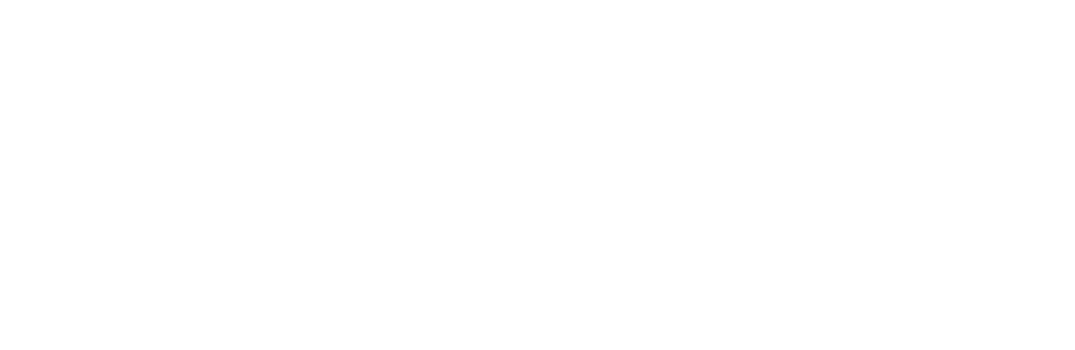 TÜSA logo